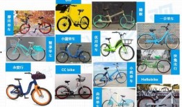 英德共享单车最新爆料,揭秘行业最新爆料与未来趋势