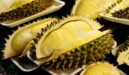 网友爆料榴莲视频大全,网友爆料视频大全，带你领略热带果王的风采