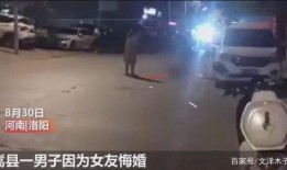 洛阳嵩县爆料事件视频最新,真相与争议交织